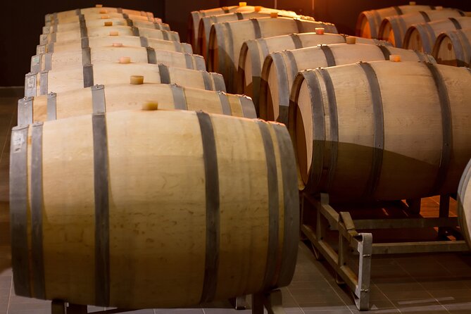 Private Wine Tasting Activity at Lipovac Winery - Inside the production spaces: tech hall, long cellar, and clay vessels