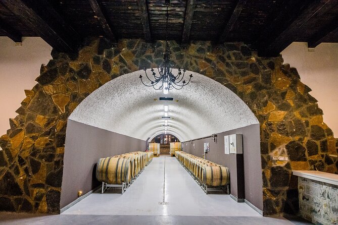 Private Wine Tasting Activity at Lipovac Winery - Vineyards and local grapes: the “why” before the “what”