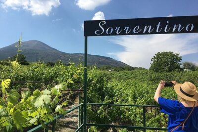 Private Wine Tour,lunch,8 wines, dedicated sommelier and trasport - Tenuta Sorrentino Vesuvio Vineyard Walk With Andrea