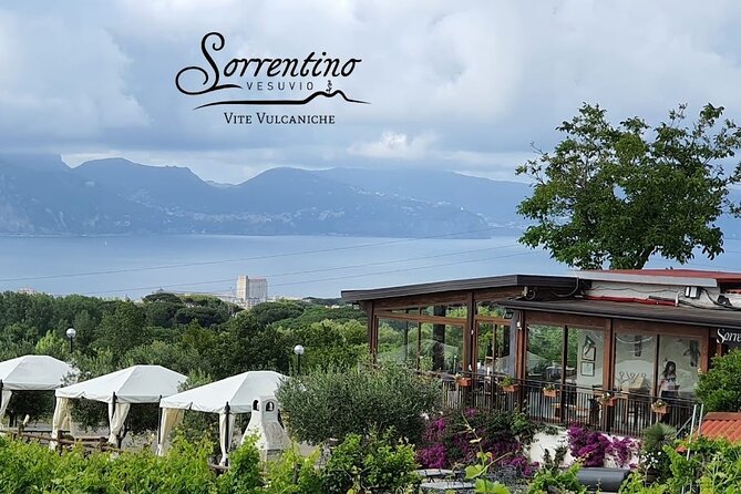 Private Wine Tour,lunch,8 wines, dedicated sommelier and trasport - Price and Value: What $313.77 Per Person Gets You