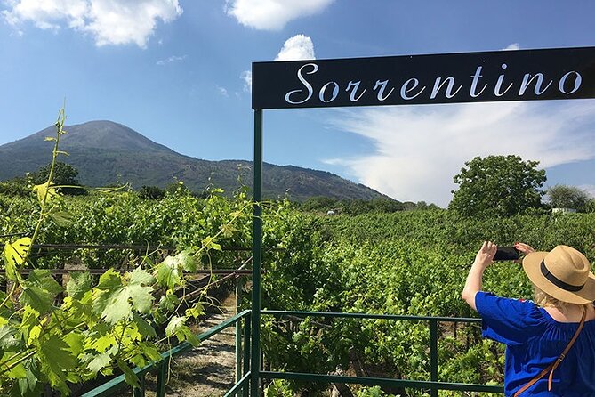 Private Wine Tour,lunch,8 wines, dedicated sommelier and trasport - Tenuta Sorrentino Vesuvio Vineyard Walk With Andrea