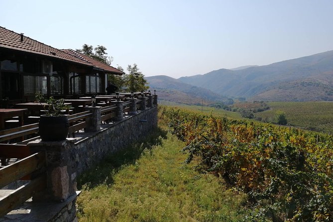 Private Wine Tour of Chateau Sopot Winery from Skopje - Skopje to Veles: the point of a private driver