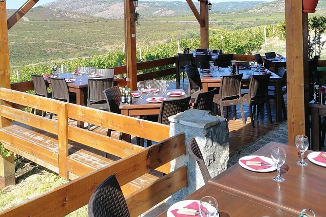 Private Wine Tour of Chateau Sopot Winery from Skopje - Price and value: what $129 gets you (and why it can be worth it)