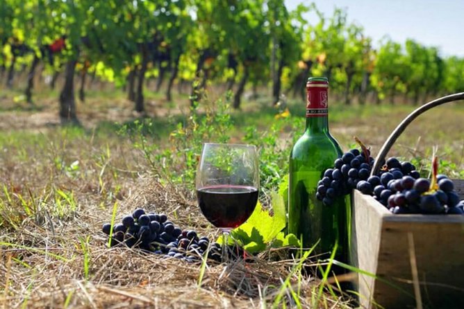 Private wine tour to Khor Virap, Areni winery, Noravank - Key things I’d mark on your map