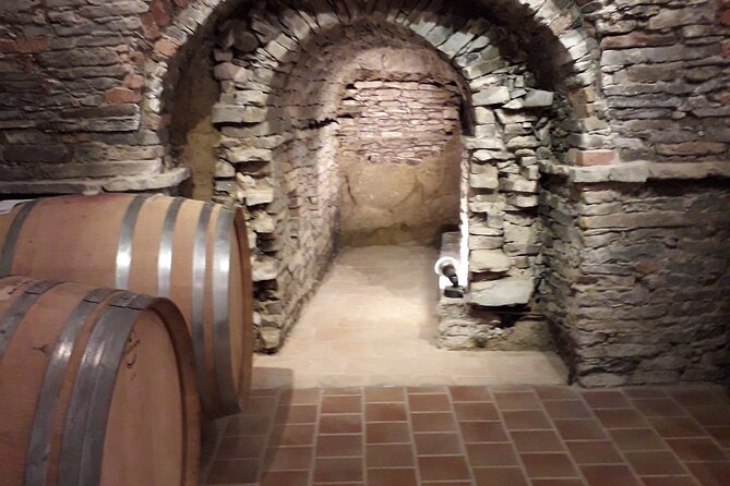 Private Winery and Vineyard Tour with Wine Tasting - The vineyard visit: why seeing the vines changes the tasting