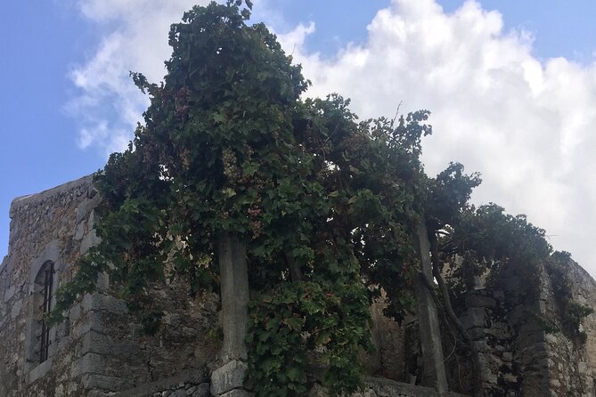 PRIVATE-Winery+Olive Oil Factory-Old Villages-Old Wind Mills - Mountain drive with raki, local wine, and main-square breaks
