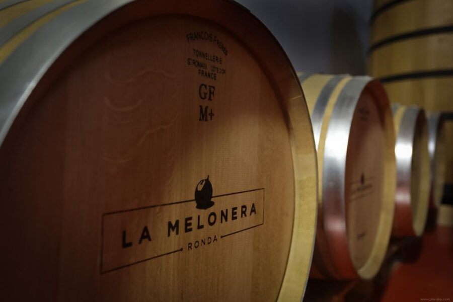 Private Winery Tour and Visit to Ronda - Private Winery Tour + Ronda: A Day With Two Different Moods
