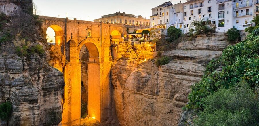 Private Winery Tour and Visit to Ronda - Finca La Melonera Winery: Vineyard Walk and the Story Behind the Grapes