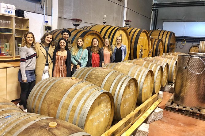 Private Winery Tour near Madrid with Sommelier (6-hour) - How the 6-hour day runs from central Madrid