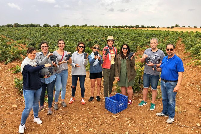 Private Winery Tour near Madrid with Sommelier (6-hour) - The tasting moment: three wines with tapas, guided step by step