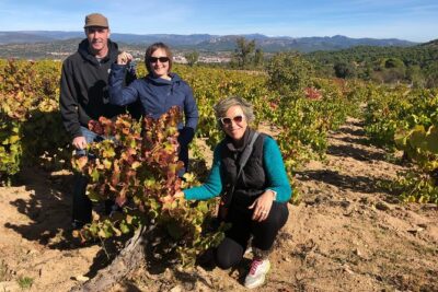 Private Winery Tour near Madrid with Sommelier (6-hour) - Belmonte de Tajo: start at the vines, then tour a family winery