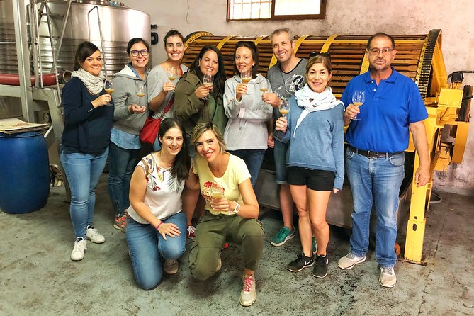 Private Winery Tour near Madrid with Sommelier (6-hour) - Second tasting: three more wines paired with tapas