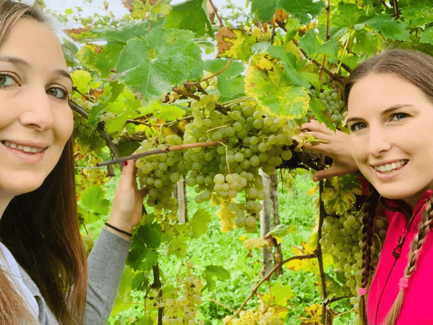 Prosecco Tasting in Countryside Winery - Key things to know before you go