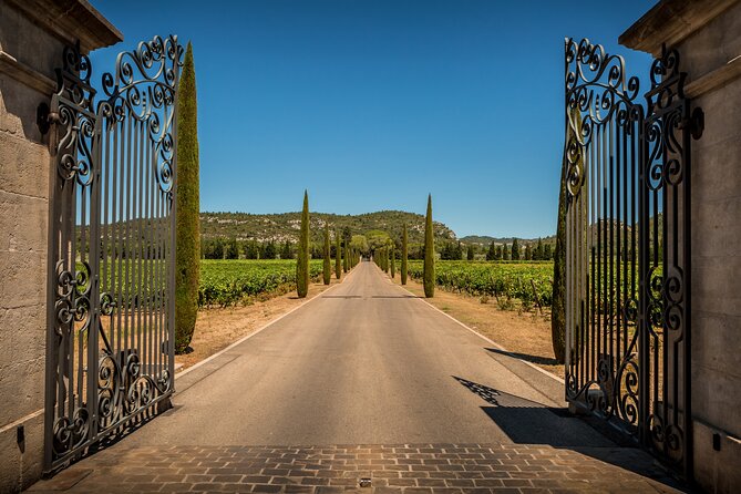 Provence Small Group Wine Full Day Tour in Chateauneuf du Pape vineyard from Aix - Why Chateauneuf-du-Pape Tours Work Best as a Small-Group Day Trip