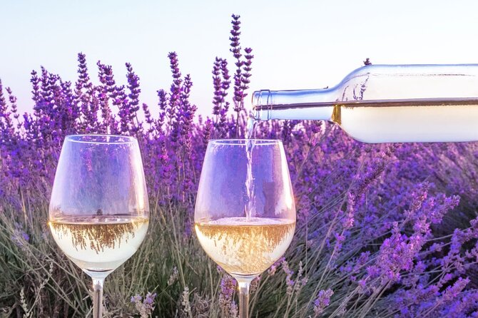 Provence Small Group Wine Full Day Tour in Chateauneuf du Pape vineyard from Aix - Lunch on Your Own: How to Eat Well Without Derailing Your Afternoon Pouring