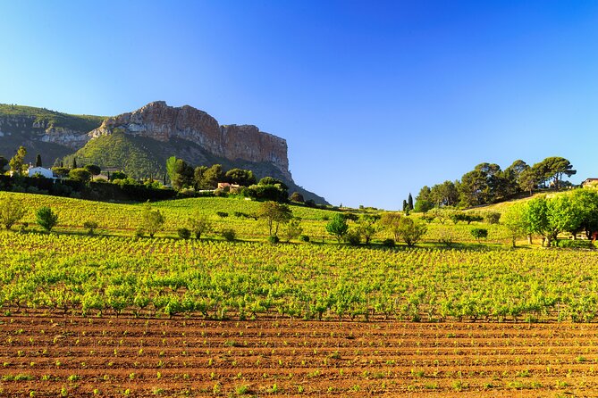 Provence Small Group Wine Full Day Tour in Chateauneuf du Pape vineyard from Aix - Who This Tour Suits Best (and Who Might Want a Different Plan)