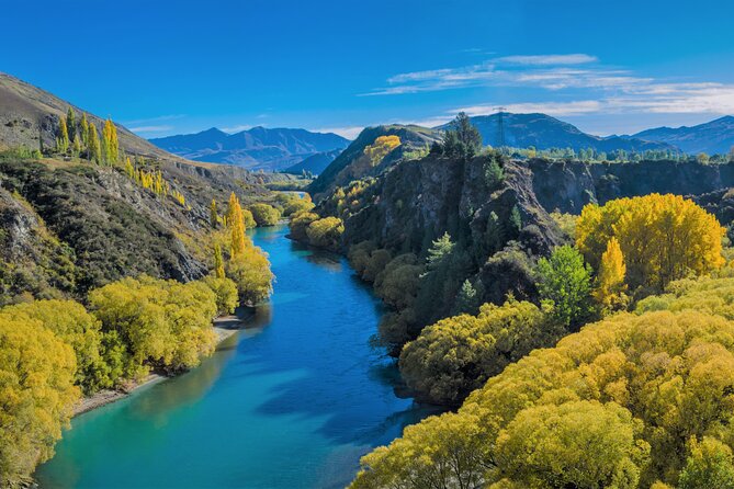 Queenstown Classic Wine Tour: 3 Winery Visits, Cave Tour & Cheese - Weather, Timing, and Comfort Tips That Actually Help