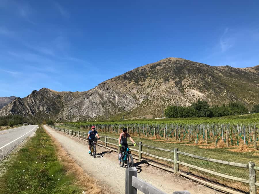 Queenstown: Guided E-Bike Tour with Winery Visits & Tastings - Should you book this e-bike winery day?
