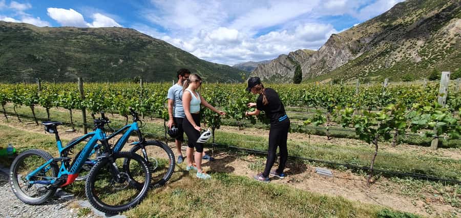 Queenstown: Guided E-Bike Tour with Winery Visits & Tastings - From Frankton pick-up to Arrowtown’s gold-mining streets