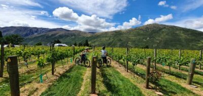 Queenstown: Guided E-Bike Tour with Winery Visits & Tastings - Suspension bridges and the Kawarau bungy jumping bridge