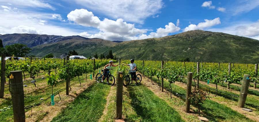 Queenstown: Guided E-Bike Tour with Winery Visits & Tastings - Suspension bridges and the Kawarau bungy jumping bridge