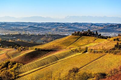 Radda in Chianti: Wine Tasting Tour with lunch at the Winery - Key Highlights You’ll Notice Right Away