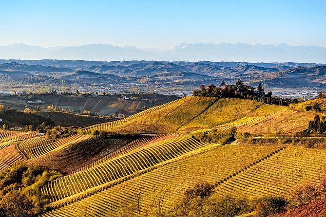 Radda in Chianti: Wine Tasting Tour with lunch at the Winery - Key Highlights You’ll Notice Right Away