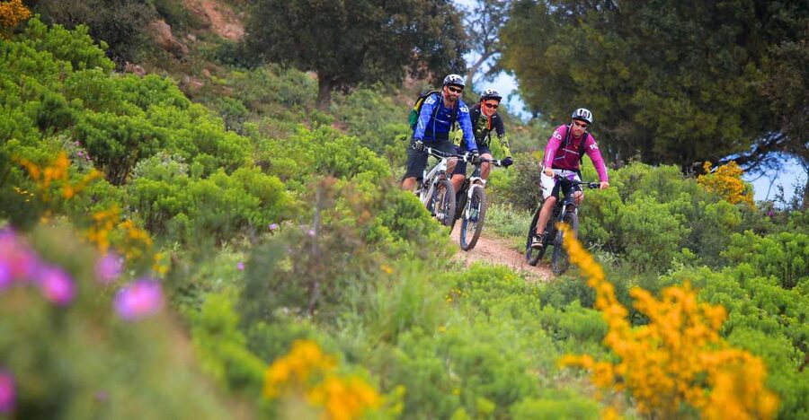 Ramatuelle: Tracks & Tasting Winery Tour by Mountain E-Bike - Key highlights worth your attention