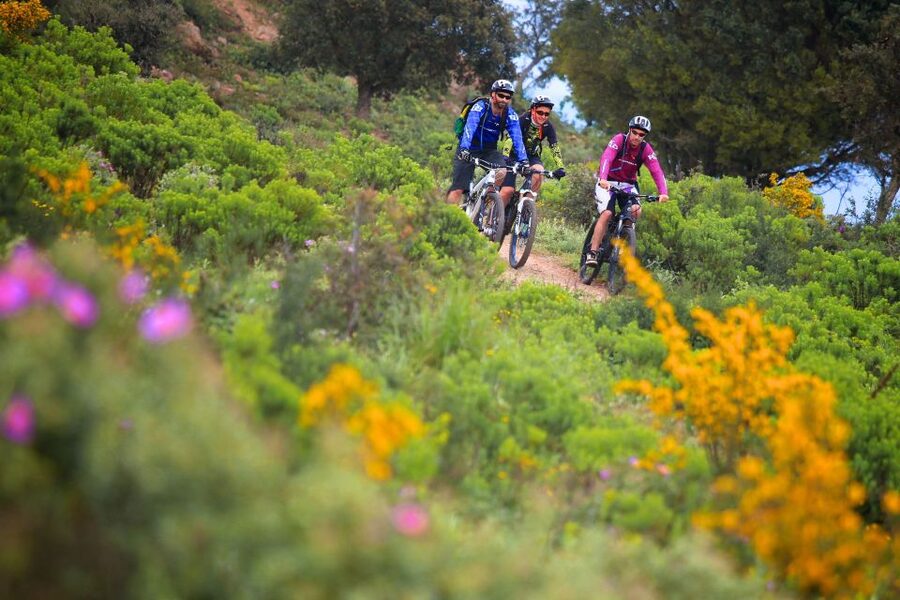 Ramatuelle: Tracks & Tasting Winery Tour by Mountain E-Bike - Choose your effort: doubletracks, singletracks, and e-bike confidence