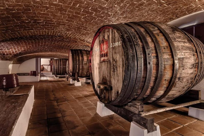 Reguengos de Monsaraz: José de Sousa Winery Tour and Tasting - Key takeaways before you book