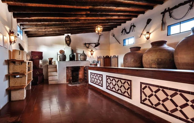 Reguengos de Monsaraz: José de Sousa Winery Tour and Tasting - Why José de Sousa in Reguengos de Monsaraz feels unusual