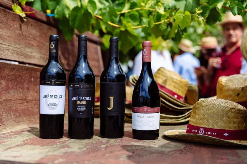 Reguengos de Monsaraz: José de Sousa Winery Tour and Tasting - Stop 3: archaeology room at Monte da Ribeira Estate
