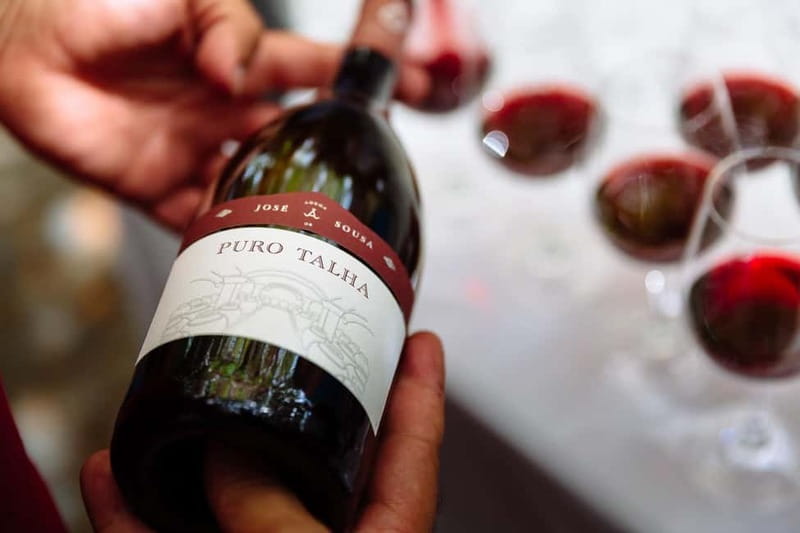 Reguengos de Monsaraz: José de Sousa Winery Tour and Tasting - Wine tasting after the tour: how to make it count