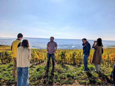 Reims: Moët & Chandon and Family-Run Winery Day Tour & Lunch - The Avenue de Champagne Drive: Easy Views, Helpful Commentary