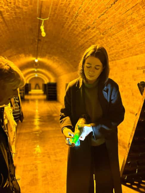 Reims: Moët & Chandon and Family-Run Winery Day Tour & Lunch - Practical Tips So the Tastings Feel Fun, Not Work