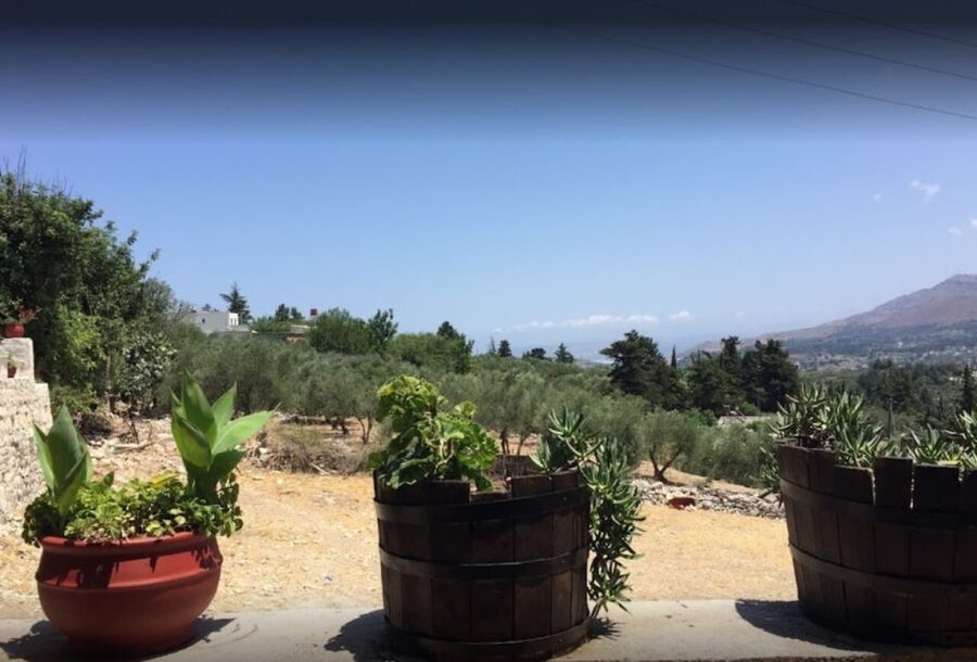 Rethymno: Private Winery & Olive Oil Tasting Tour with Lunch - Secret stop + natural vineyard aromas: the day’s in-between magic