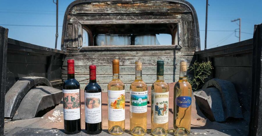 Rhodes: Winery Tour, Tasting and cooking with the Winemaker - Vineyard walk with Jason: where the tour truly starts