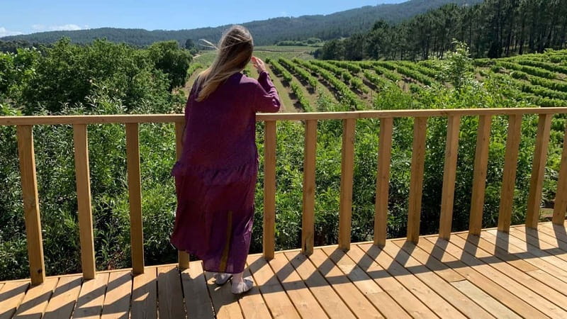 Rías Baixas Albariño Experience: Winery Visit & Cheese - Key highlights you’ll care about