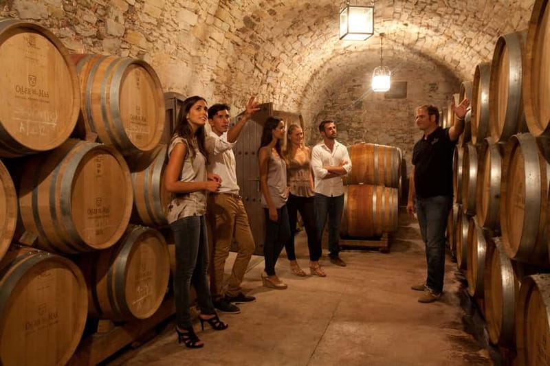Rías Baixas Albariño Experience: Winery Visit & Cheese - Inside Terras Gauda’s Modern Cellar (Without Losing the Tradition)
