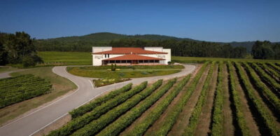 Rías Baixas Albariño Experience: Winery Visit & Cheese - Vineyard Walk: Albariño, Loureiro, and Caiño Blanco in Real Life