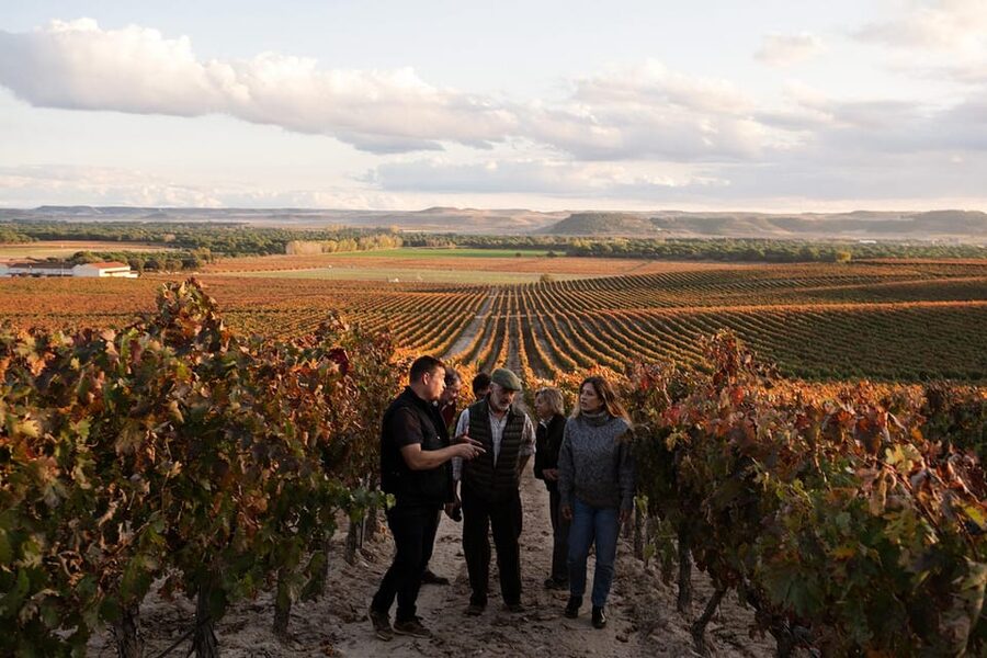 Ribera del Duero: Experience, vineyard, and 4x4 ride, plus an aperitif and tasting. - Key Things That Make This Tour Worth It