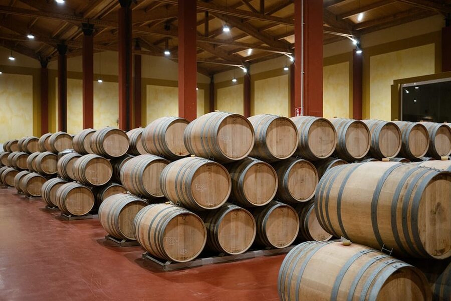 Ribera del Duero: Experience, vineyard, and 4x4 ride, plus an aperitif and tasting. - Entering Ribera del Duero by 4x4: Viñas del Jaro’s Unimog Ride