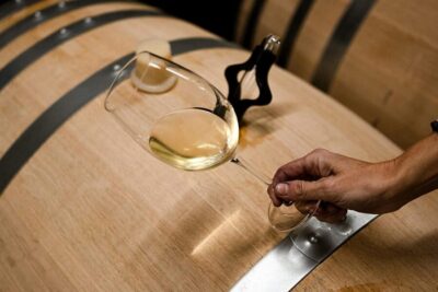 Ribera del Duero: Experience, vineyard, and 4x4 ride, plus an aperitif and tasting. - Finca del Quiñón: 65 Hectares, Up to 5 Soils, and the Why Behind the Wine
