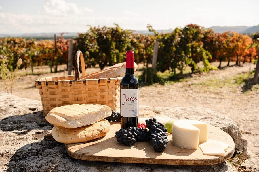 Ribera del Duero: Experience, vineyard, and 4x4 ride, plus an aperitif and tasting. - Price and Value: Is $41 for 2 Hours a Smart Deal?