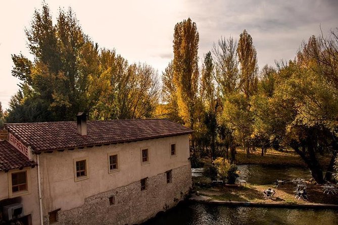 Ribera del Duero Winery Guided Tour and Wine Tasting from Madrid - Winery stops 2 (and maybe 3): how you taste variety on purpose