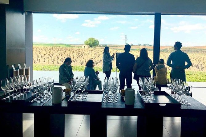Ribera del Duero Winery Guided Tour and Wine Tasting from Madrid - The flexible afternoon: medieval towns and castle options