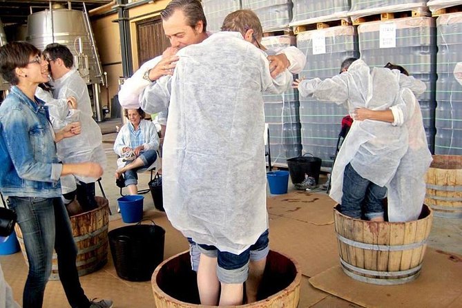 Ribera del Duero Winery Guided Tour and Wine Tasting from Madrid - The guide makes the difference (and the name you might hear)