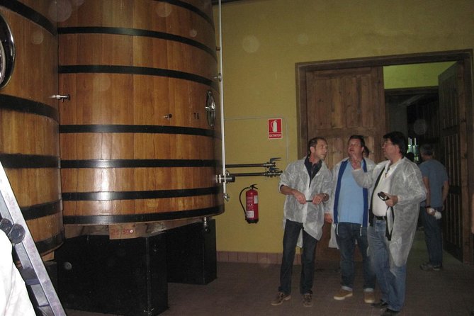 Ribera del Duero Winery Guided Tour and Wine Tasting from Madrid - Winery stop 1: what you’re actually learning during the tasting