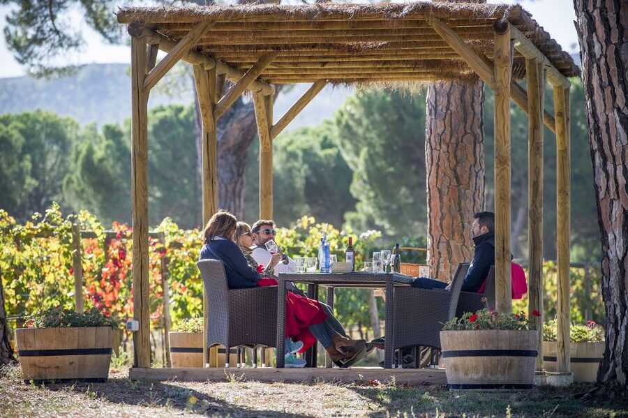 Ribera del Duero Winery Tour & Wine Tasting Near Valladolid - Vineyards Near Valladolid: Why This Setting Feels More Like Spain