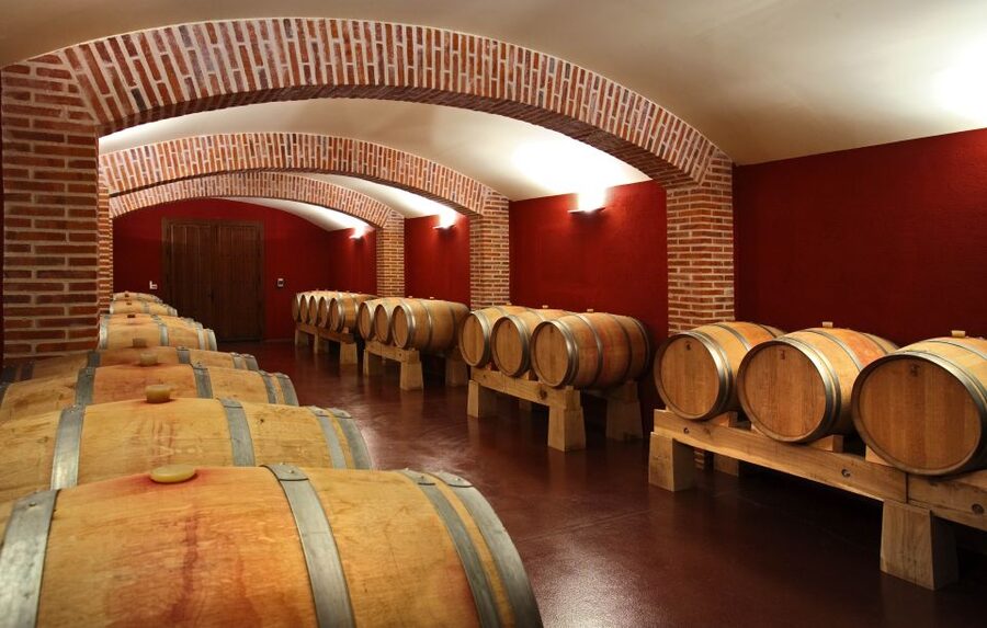 Ribera del Duero Winery Tour & Wine Tasting Near Valladolid - Following the Grapes Into the Production Rooms